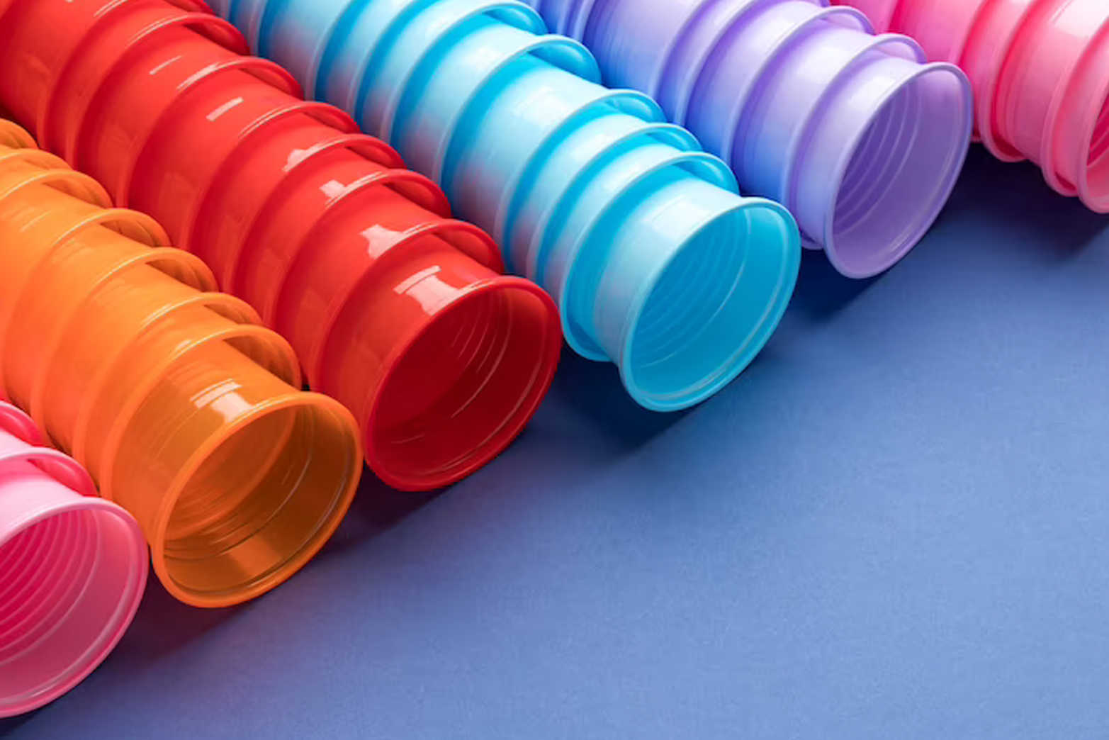 custom cups