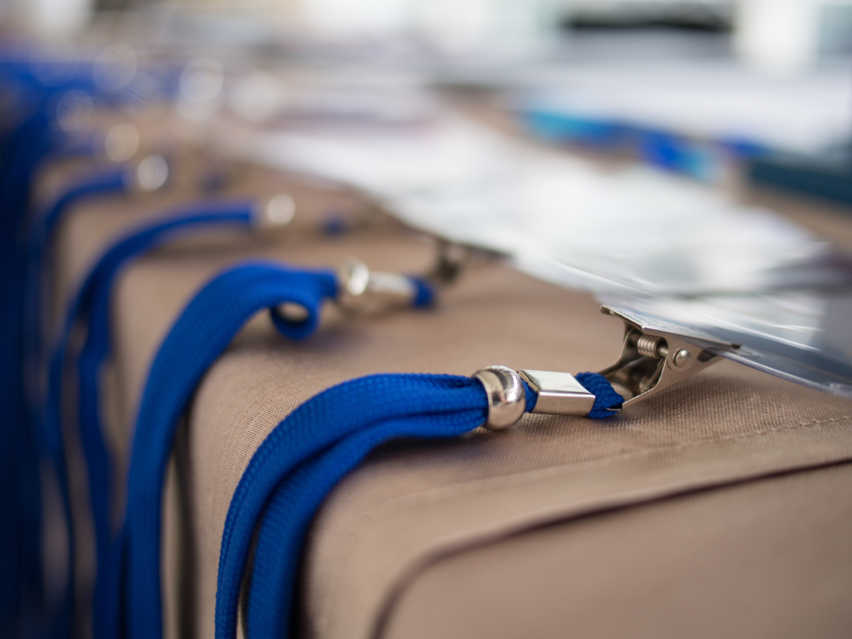 Lanyards with Tags (Shutterstock)
