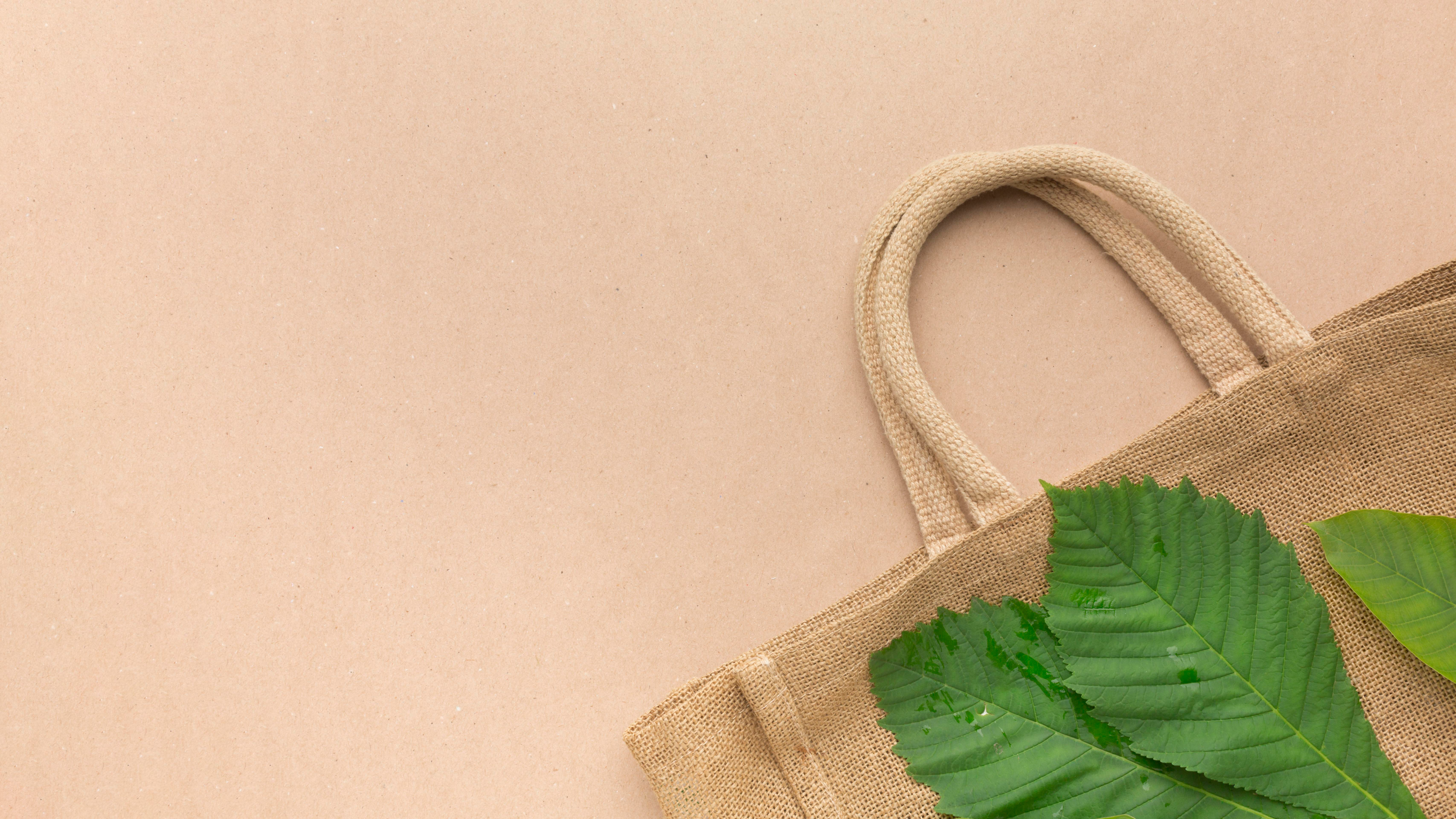 reusable grocery bags