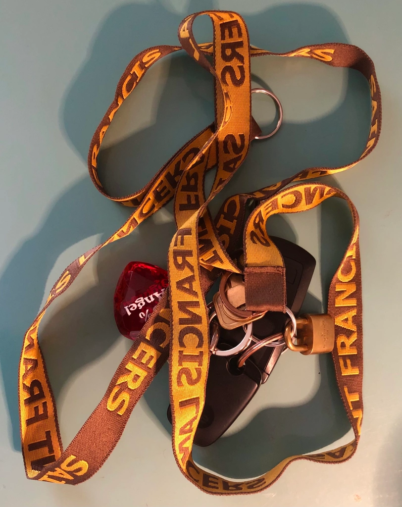 Tangled Lanyards (thelancer.sfhs.com)