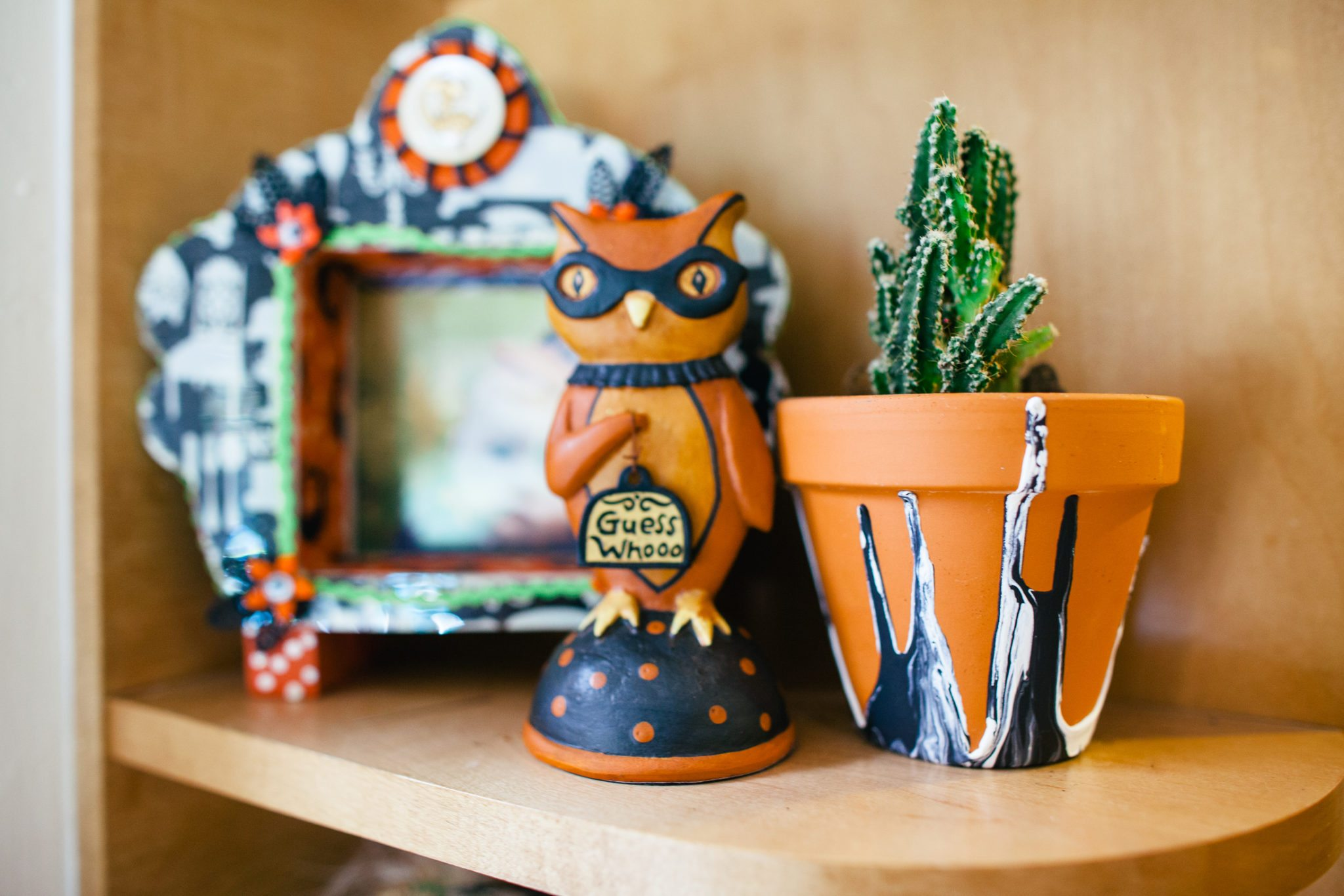 Halloween Succulents (jenniferperkins.com)