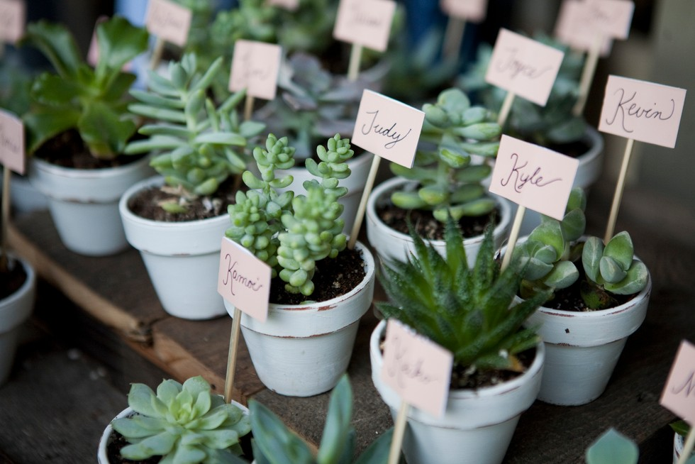 Plant Wedding Favors (gathered.com)