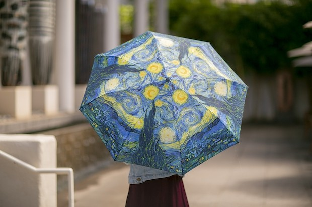 Custom Printed Umbrella (LinkedIn.com)