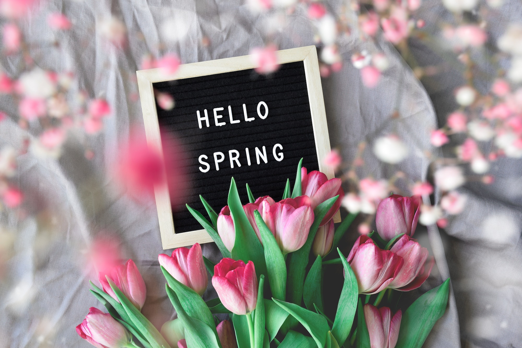 Spring Tulips (matchboxdesigngroup.com)