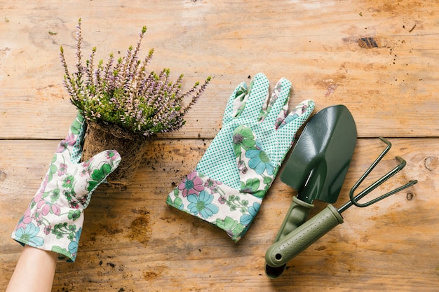 gardening items