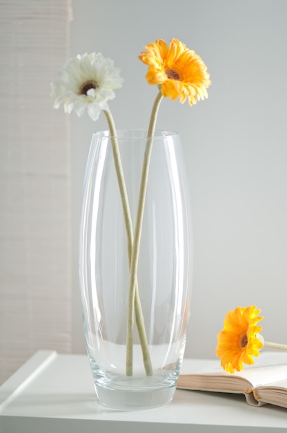 for mother's day