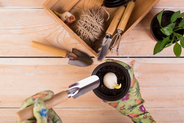 Outdoor DIY Projects