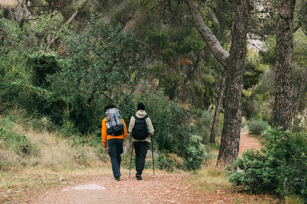 Hiking and Nature Walks