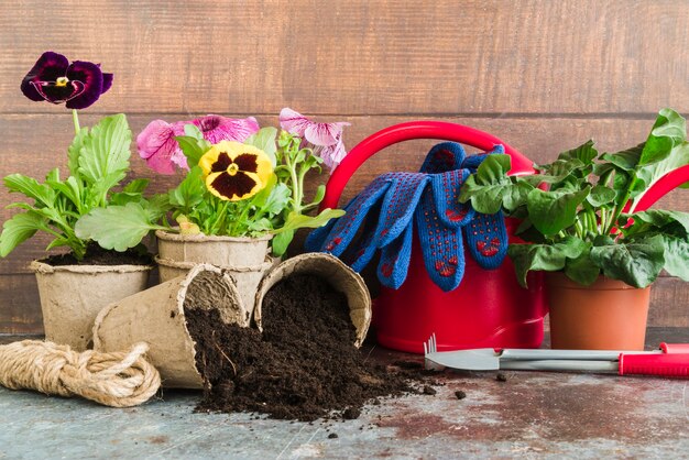 Spring Gardening Ideas