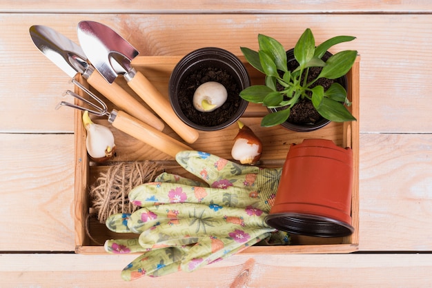 Spring Home & Garden Essentials